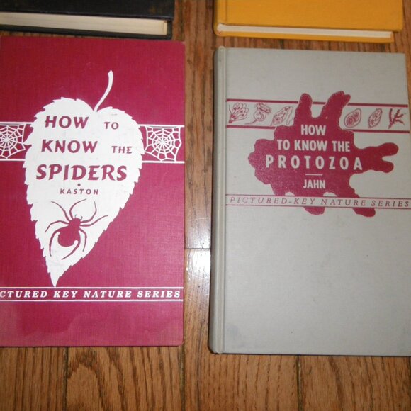 6 Vintage 1940's-50's Pictured-Key Nature Series Hardback Textbooks How to Know - Picture 5 of 7